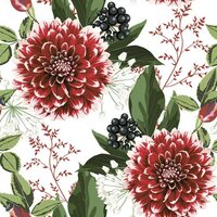 Maki Dahlia Jeneverbes Groen Burgundy Dahlia Flowers