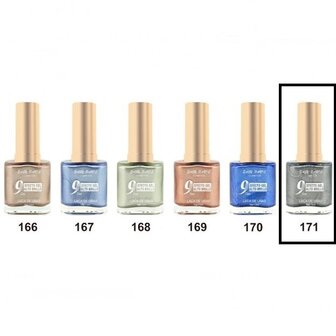 Easy Paris Cosmetics - Nagellak - Zilver Grijs Metallic - 1 flesje met 13 ml inhoud - Nummer 171