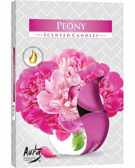 Aura Scented Candles Peony Geur Waxinelichtjes Theelichtjes Pioenroos