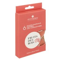 Atmosphera Createur D'Interieur - Geur Theelichtjes - Geurkaarsen - Waxinelichtjes - Geurende Theelichtkaarsen - Scented Tealight Candles - Bosvruchten - Fruits des bois - 1 doosje met 6 waxinelichtjes